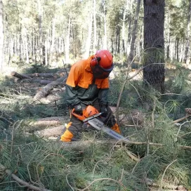 Veste de Pluie Pro Solidur Imperméable Norme EN 343 | FB Protection